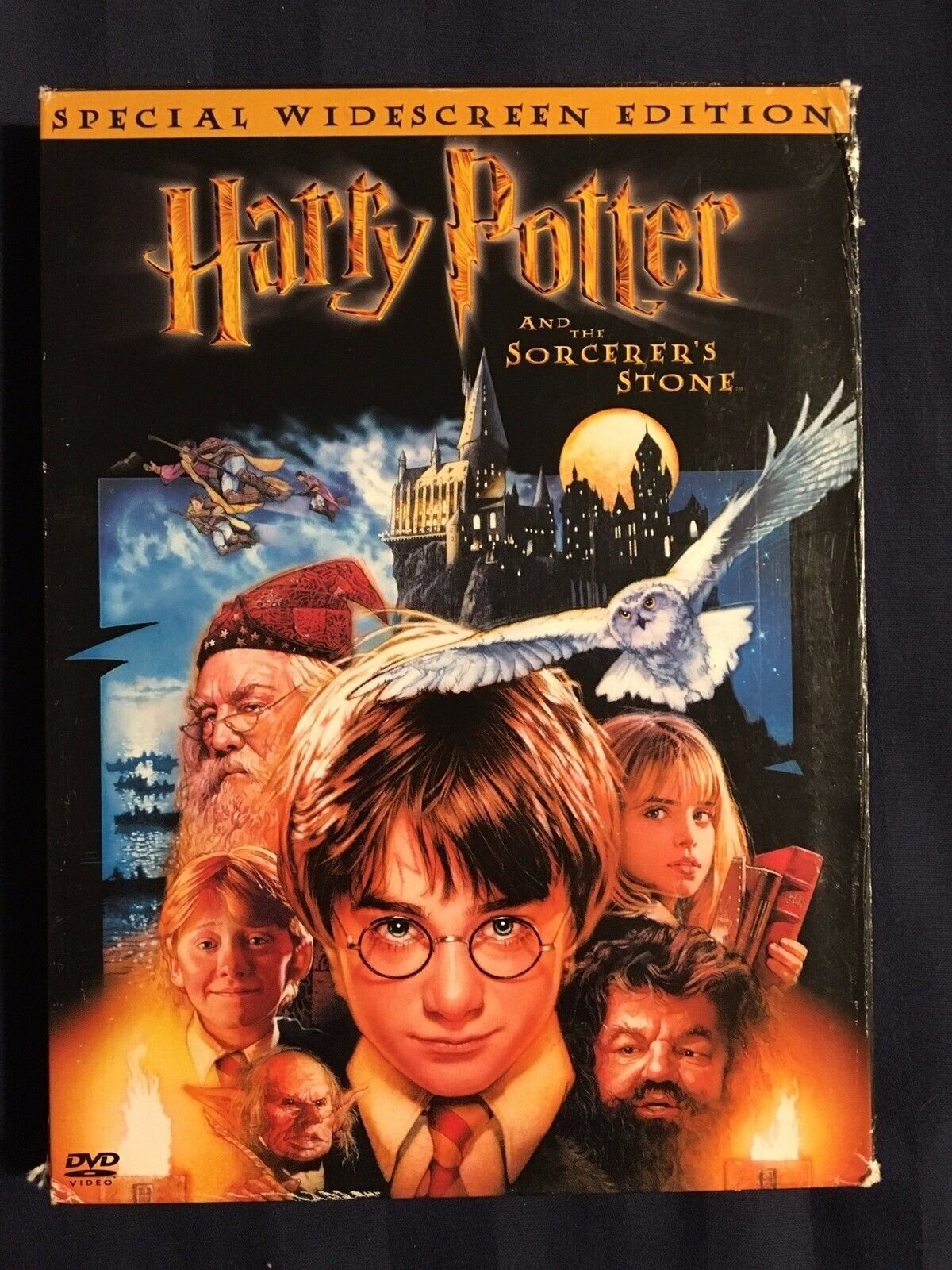 Harry Potter and the Sorcerers Stone (DVD, Widescreen, 2001) - J1231