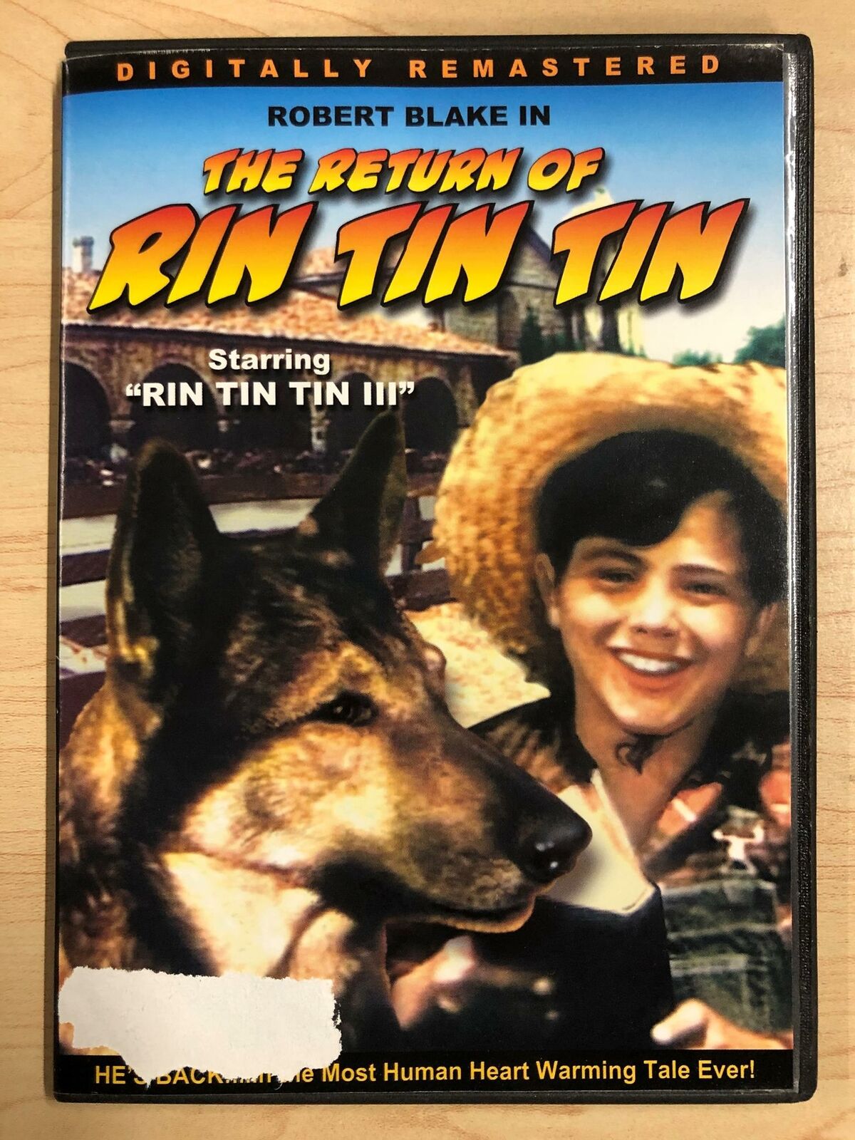 The Return of Rin Tin Tin (DVD, 1947) G0823 DVDs4Me