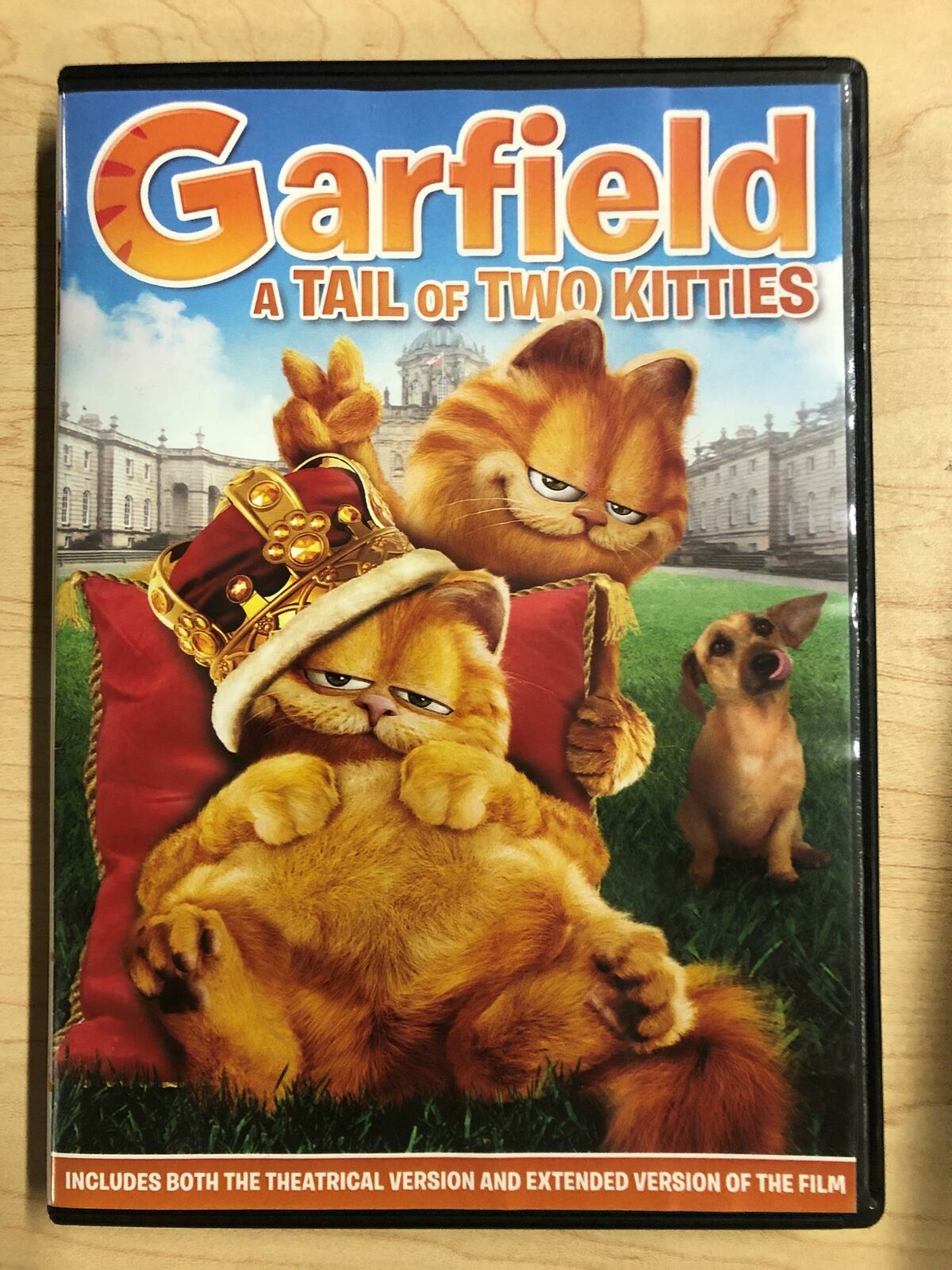 Garfield - A Tail of Two Kitties (DVD, 2006) - K7