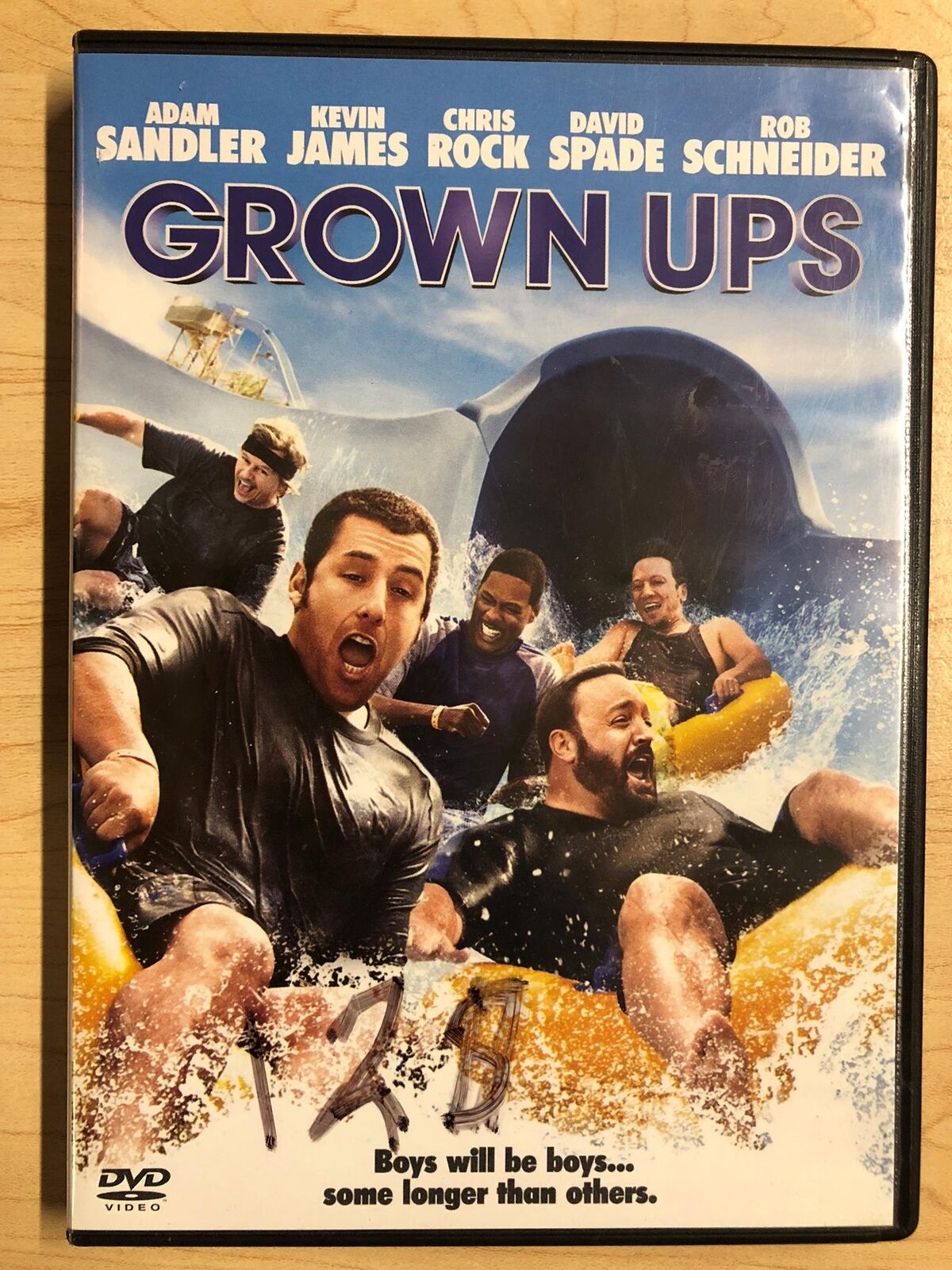 Grown Ups (DVD, 2010) - J1105