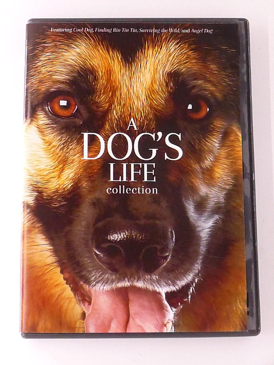 A Dogs Life Collection - Cool Dog, Finding Rin Tin Tin, Sur.. (DVD, 4-film) - K5