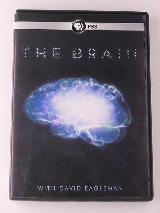The Brain with David Eagleman (DVD, PBS, 2015) - J1105