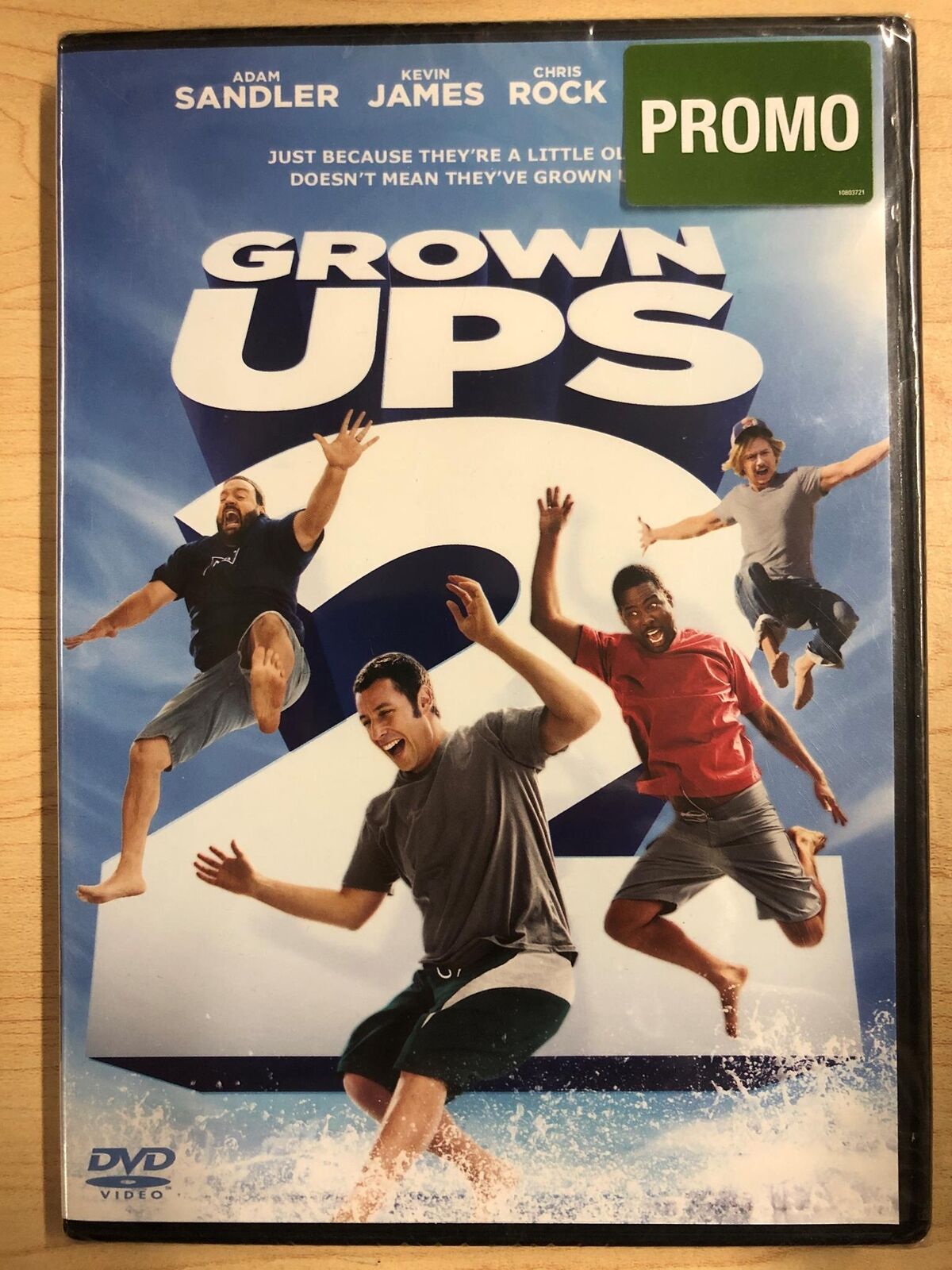 Grown Ups 2 (DVD, 2013) - NEW24