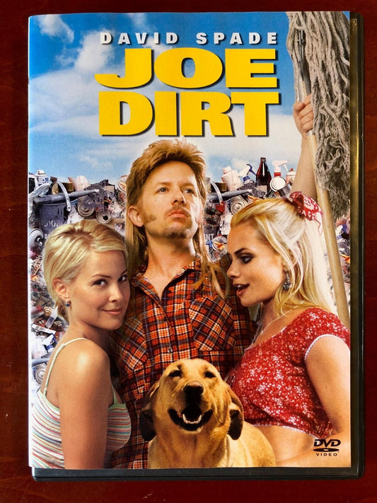 Joe Dirt (DVD, 2001) - K0218