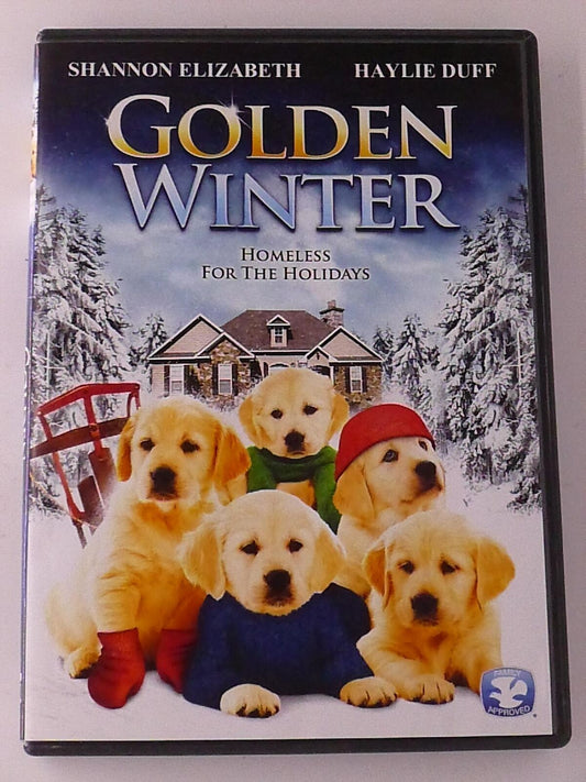 Golden Winter (DVD, Christmas, 2012) - J1231