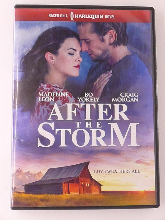 After the Storm (DVD, 2019) - K0107