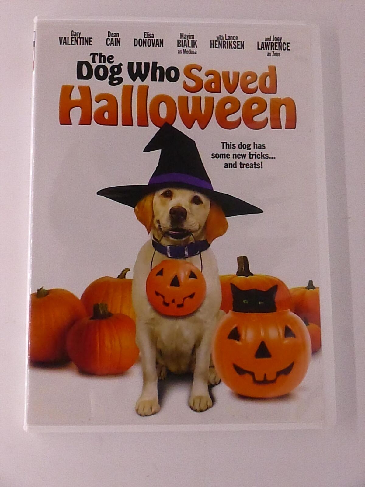 The Dog Who Saved Halloween (DVD, 2011) - K6