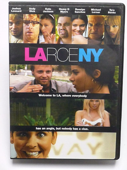 Larceny (DVD, 2004) - G0906