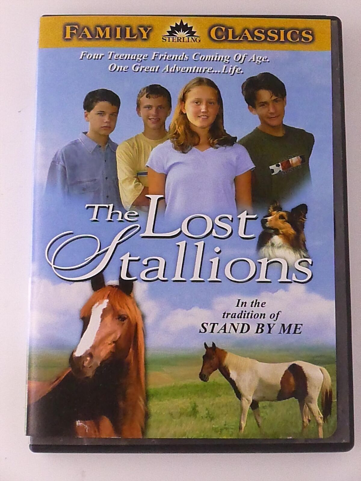 The Lost Stallions (DVD, 2003) - J0319