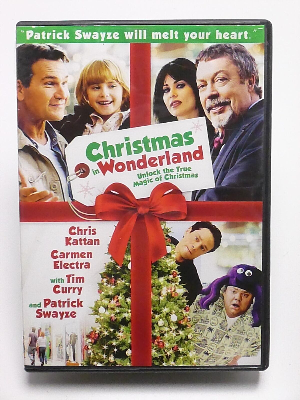 Christmas in Wonderland (DVD, 2007) - J1231