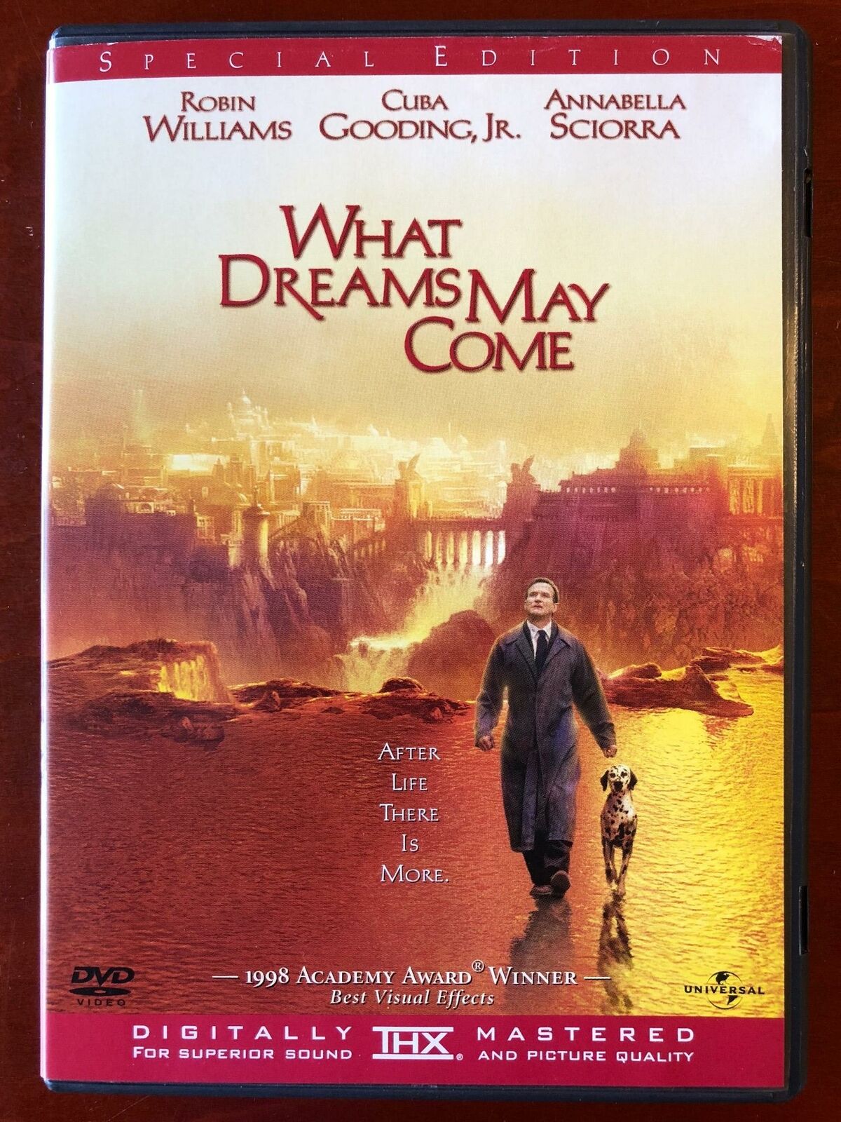 What Dreams May Come (DVD, 1998, Special Edition) - H0404